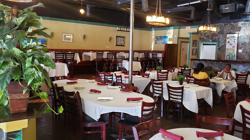 Caribbean Palm Scottsdale